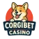 Corgibet